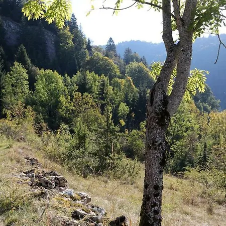 Au Coeur Du Lapidaire 3* Septmoncel-Les-Molunes